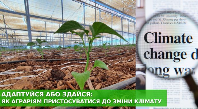 Фото як зміна клімату впливає на агровиробництво